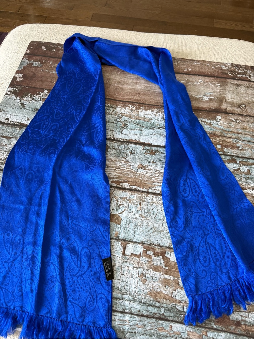 The Specialty House Blue Paisley Silk Fringe Scarf